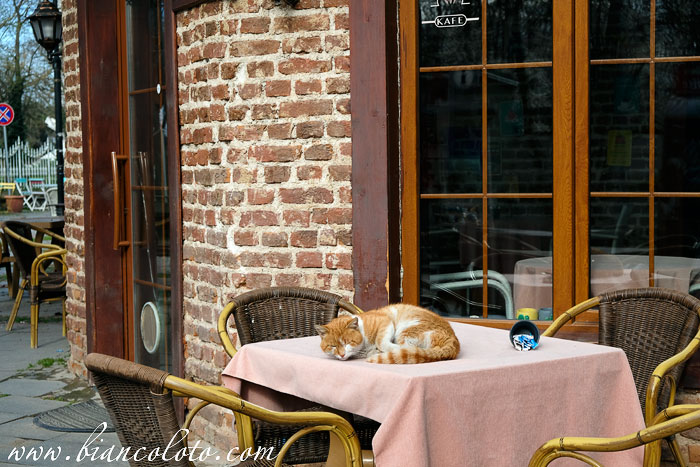  Караагач. Эдирне