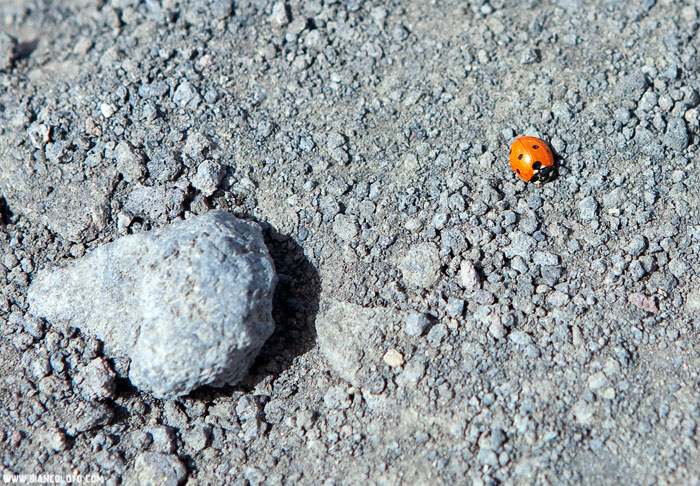 Вулкан Этна