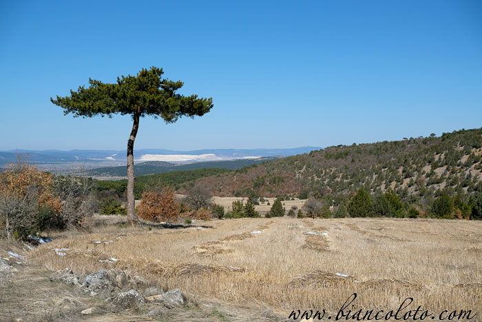 Фригийская долина 