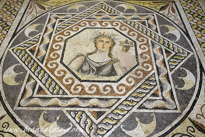 Музей мозаики Зевгма 