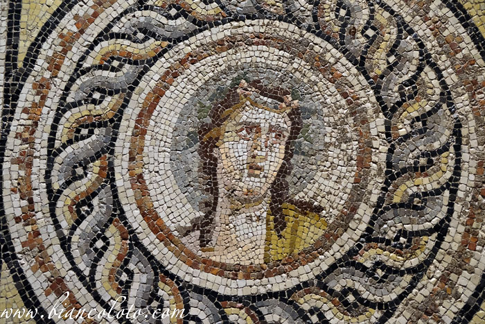 Музей мозаики Зевгма 