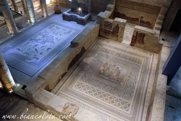 Музей мозаики Зевгма