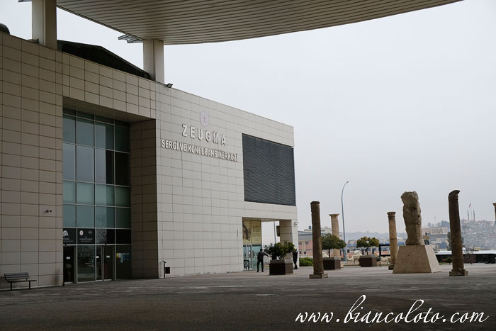 Музей мозаики Зевгма 