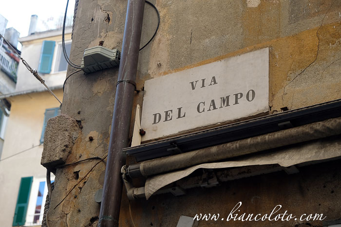Via del Campo