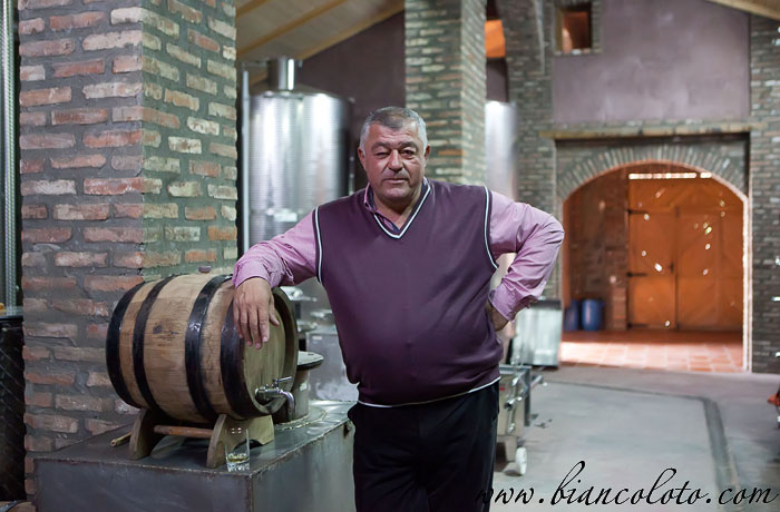 Алекс Шалошвили