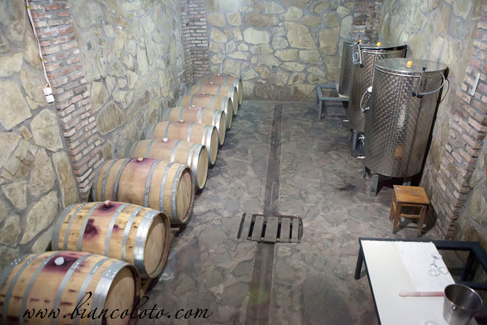 Винодельня Шалошвили