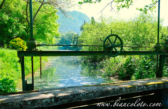 Сад Нинфа (Giardino di Ninfa)