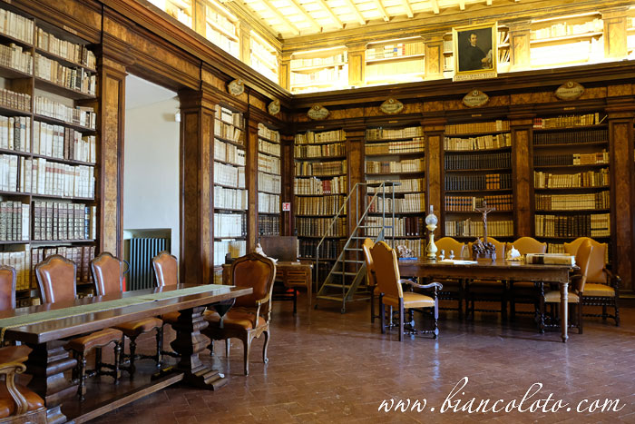 Библиотека