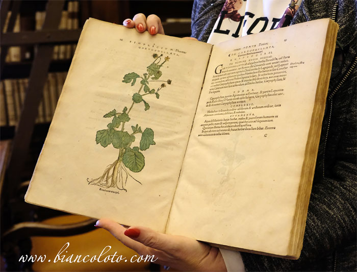 Библиотека