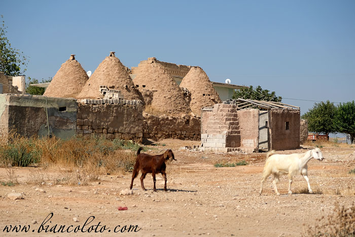 Дома-улья. Харран
