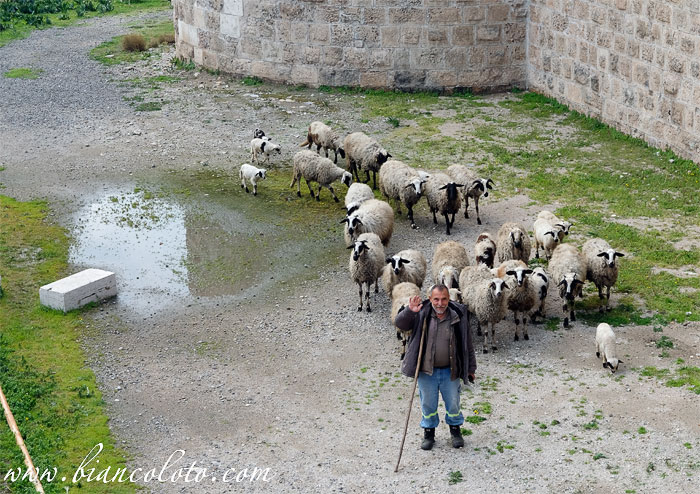 Крепость Пайяс