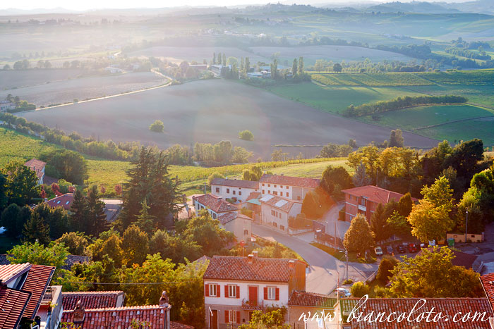 Виньяле Монферрато