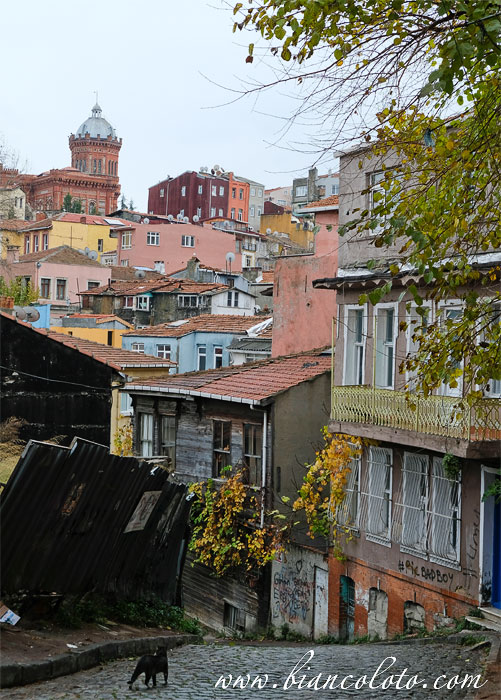 Балат и Фенер