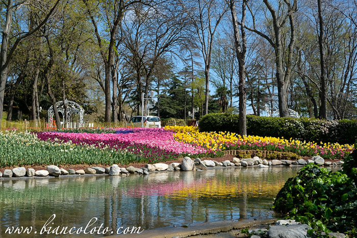 Парк Эмирган. Сарыер. Стамбул