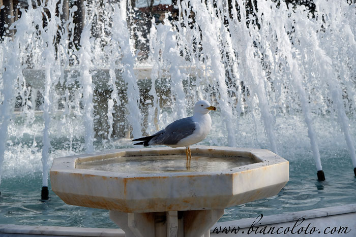 Эйюп. Стамбул