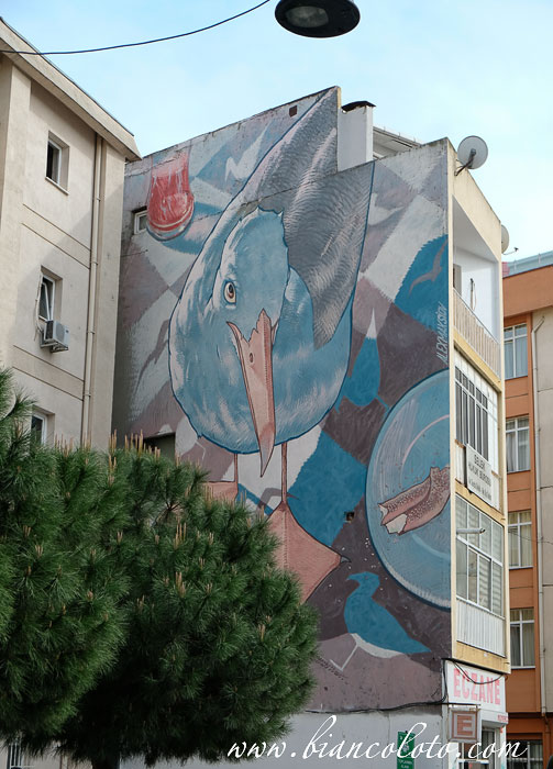 Чайка,  Alex Maksiov  