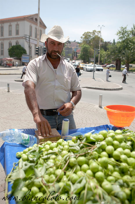 Зеленые сливы