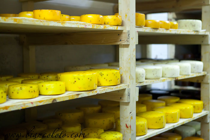 Хранилище сыра