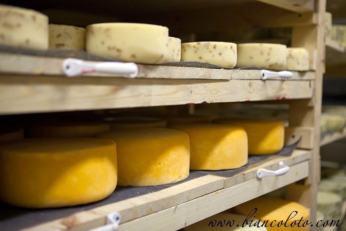 Хранилище сыра