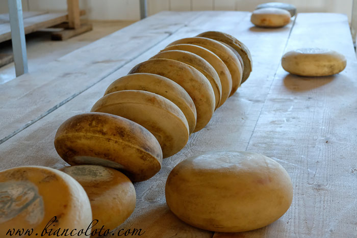 Сыроварня Кочулу. Богатепе. Карс