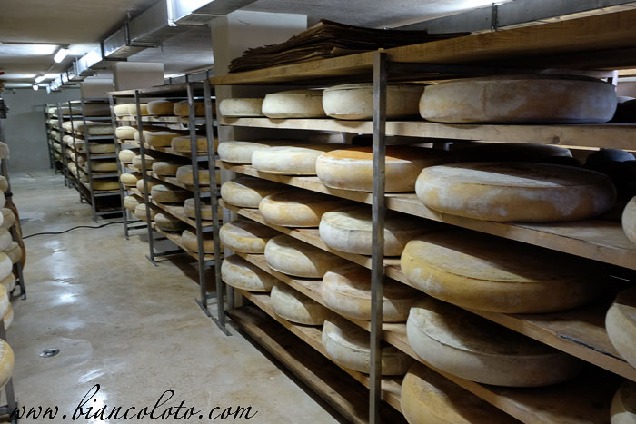 Сыроварня Кочулу. Богатепе. Карс