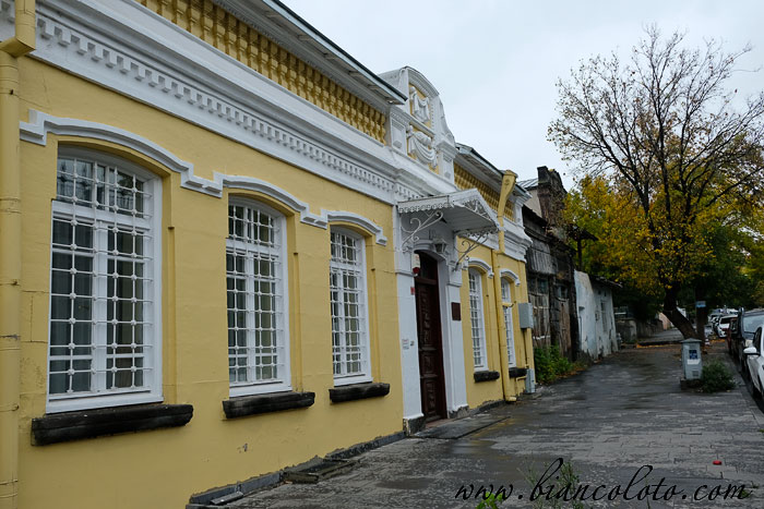 Дом Тунджера Гювенсоя. Карс