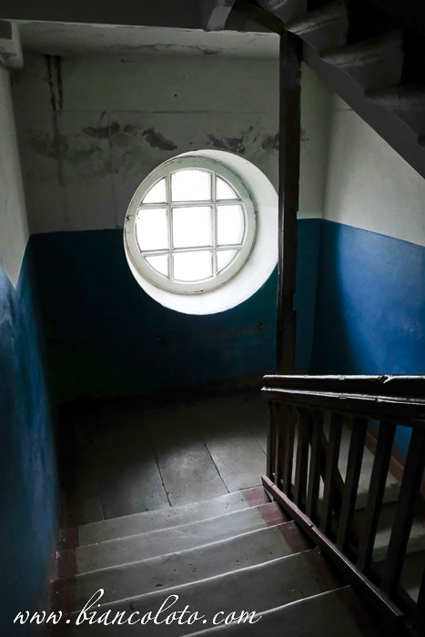 Усадьба Шокина