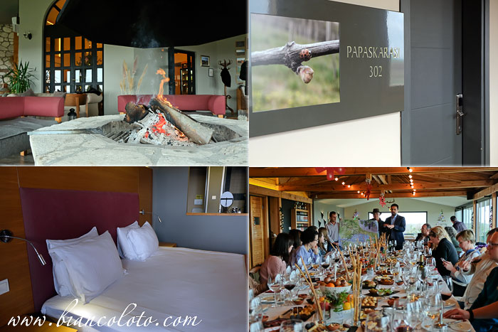 Винный отель  Bakucha