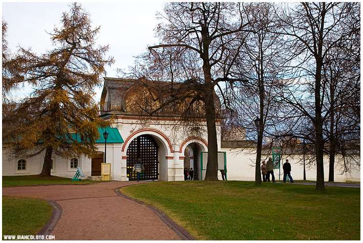 Задние ворота