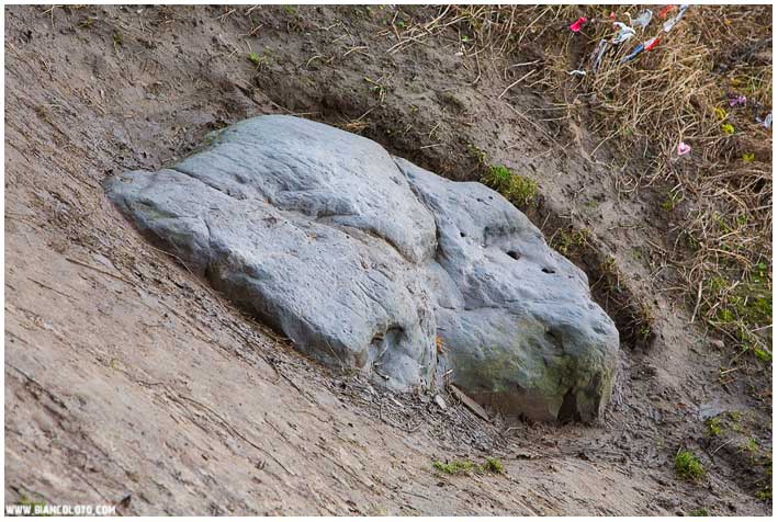 Гусь-камень