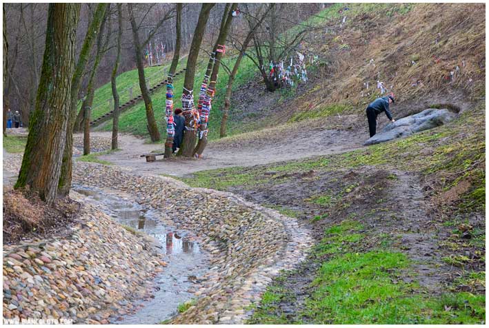 Гусь-камень