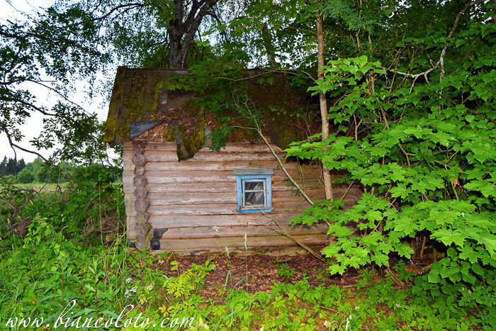 Заброшенный дом в окрестностях Кувшиново
