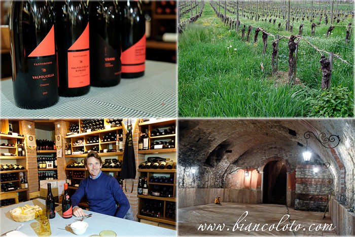 Дегустация вин