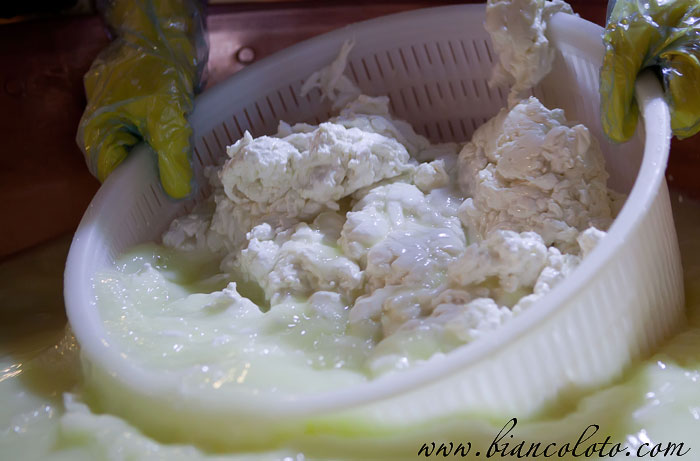 Производство сыра