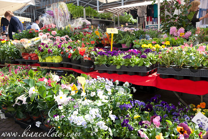 Цветочный рынок. Мантуя