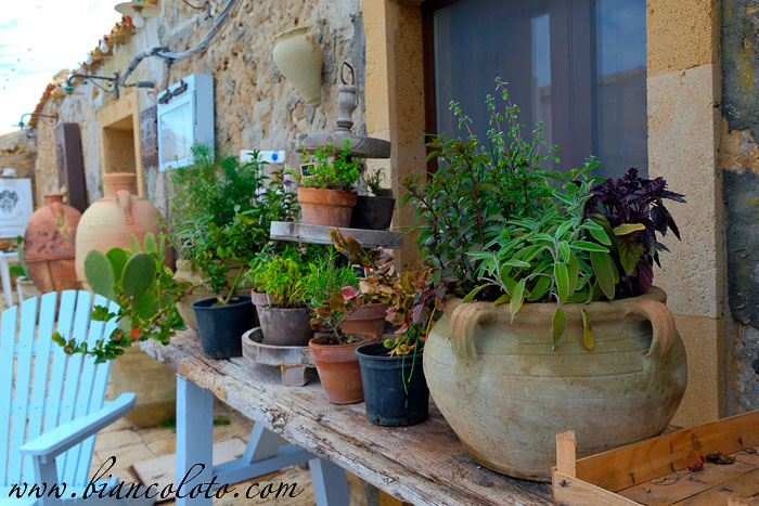 Мардзамеми