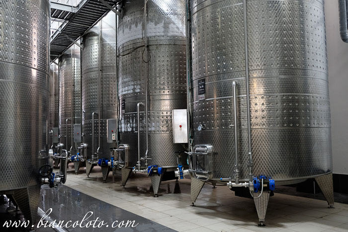 Винодельня  «Мысхако»