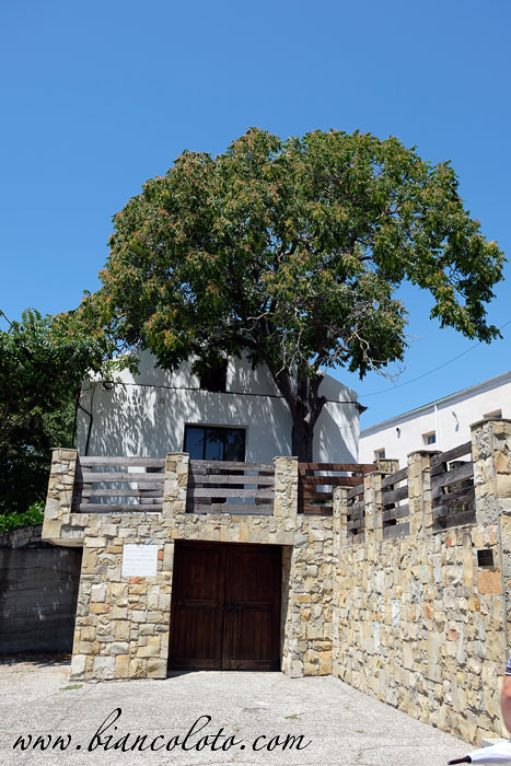 Винодельня  «Мысхако»