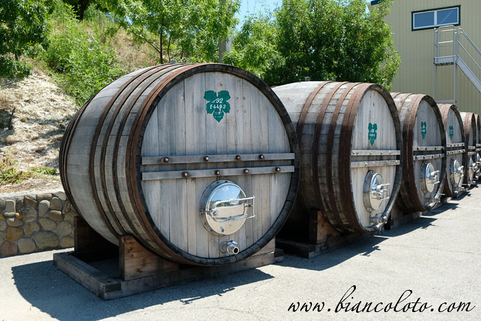 Старые бочки  «Мысхако»