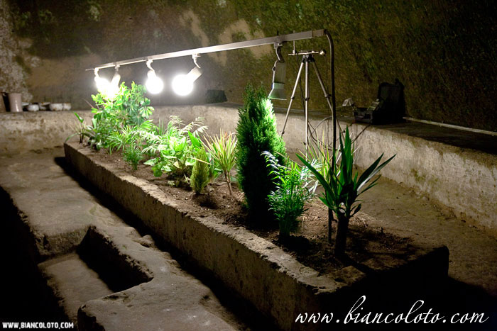 Подземный Неаполь.