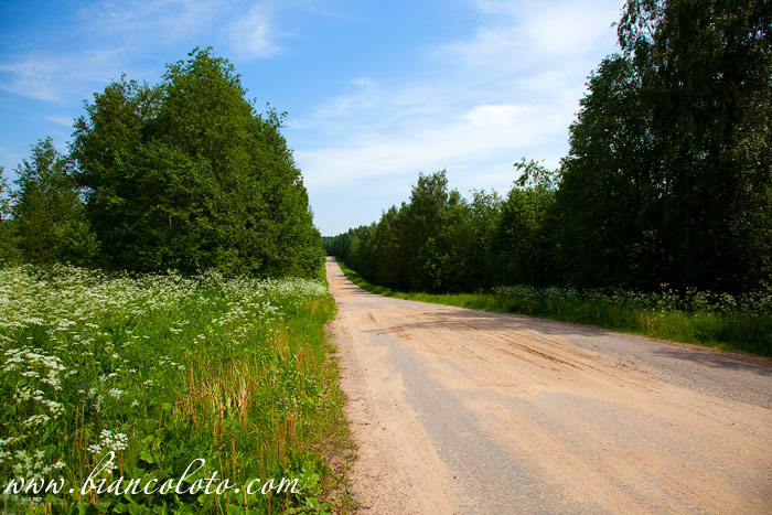 Николо-Сольбинский монастырь