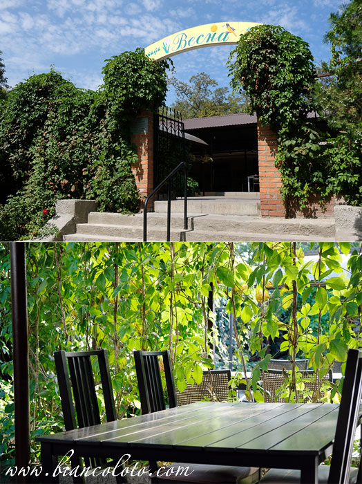 кафе «Весна» 