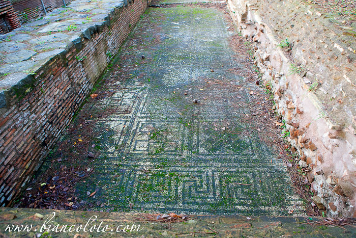 Мозаичный пол. Остия Антика