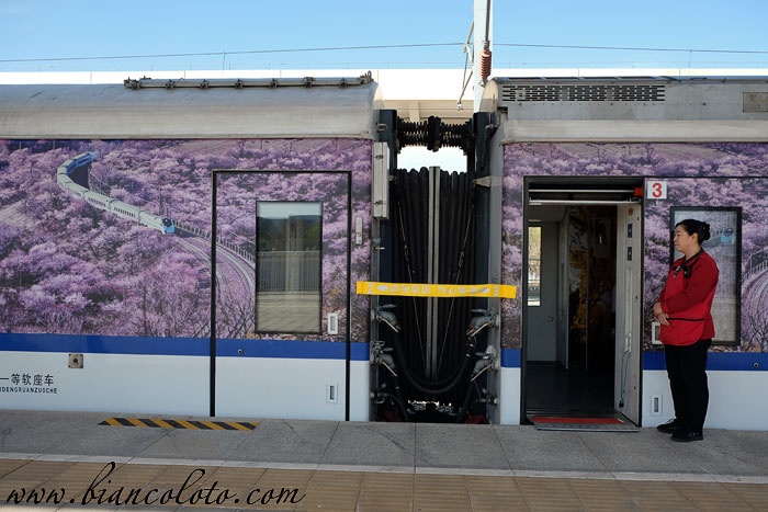 Фирменный поезд до Бадалина