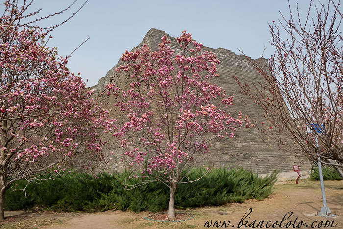 Пекинский парк руин городской стены династии Мин
