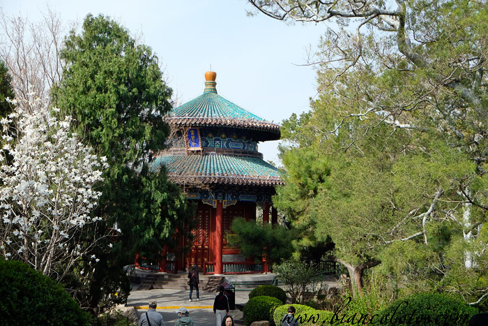 Парк Цзиншань.  Пекин