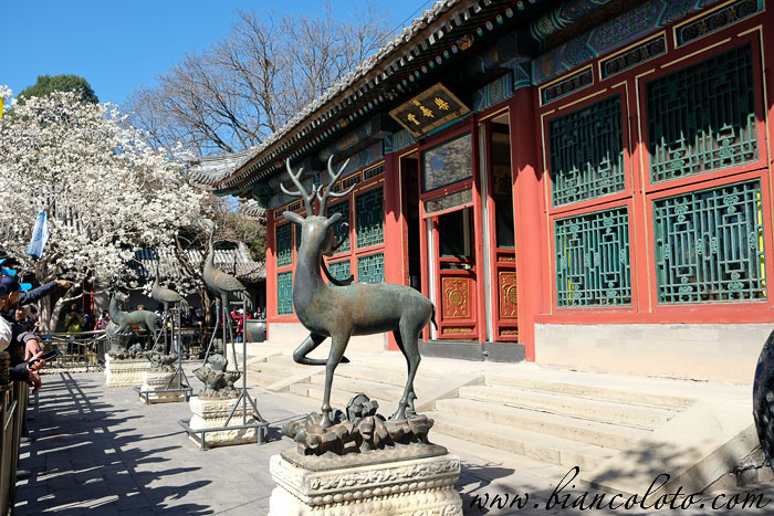 Зал Счастья и Долголетия. Летний императорский дворец Ихэюань 