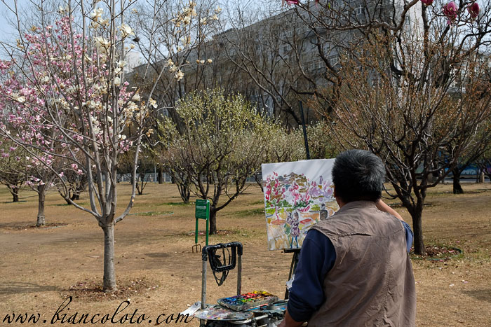Пекинский парк руин городской стены династии Мин