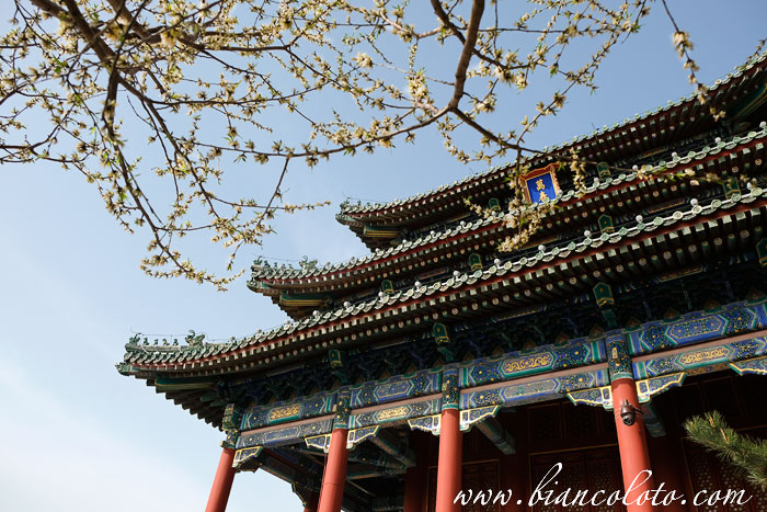 Что нужно знать туристу о Китае 