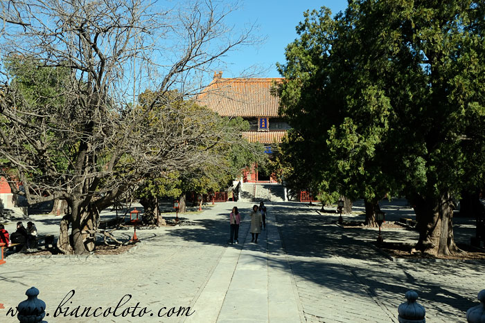 Главный двор. Храм Конфуция. Пекин